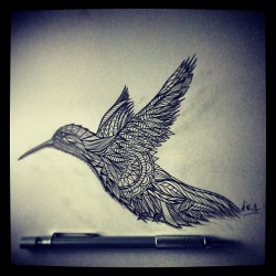 air–1:  BORN TO FLY #art #love #fun #bird #fly #pencil