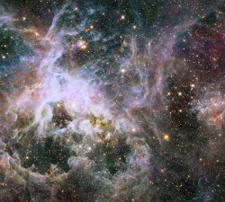 cosmotheoros:  Tarantula Nebula