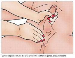  HOW TO GIVE A PROSTATE MASSAGE By WD Before you do anything,