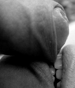 mojoflower:  Mmmmm.  More fun with foreskins:  Appetizer. x
