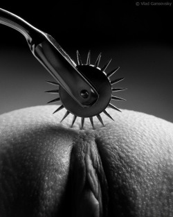 daddysdlg:   The Wartenberg Wheel  can be used to create all