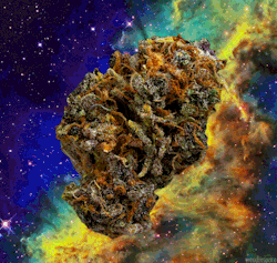The Holy Nug of the Cosmos. Follow Cars,Women,Weed and Other