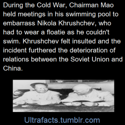 ultrafacts:  Source  Follow Ultrafacts for more facts daily.