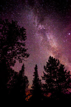 plasmatics-life:  Milky Way by James Austrums | (Website)