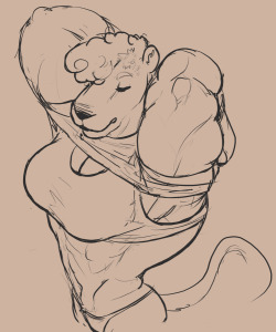 rittsrotts:  angles and muscles and lions