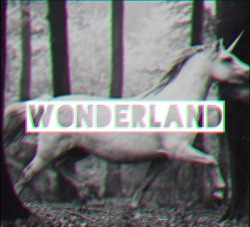 nothing better than wonderland (8)