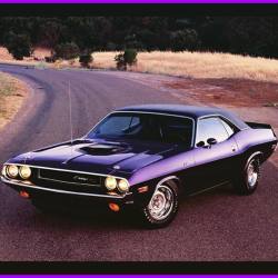 on-edge1970:  1970 Dodge Challenger  Photo: @musclecars_fan 