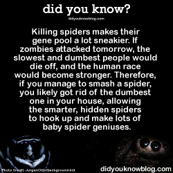 who-could-love-a-beast:  did-you-kno:  Killing spiders makes