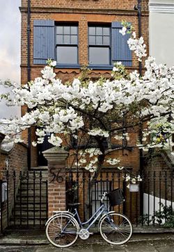breadandolives:Notting Hill