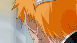magicmione:   All of my Ichigo & Rukia animations from Chapter