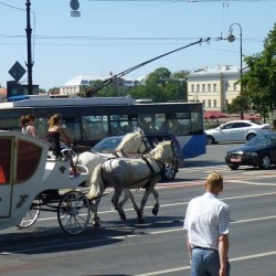 #public #transport #transit #carriage #horse #horses #trolleybus