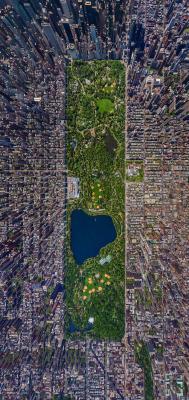 ayemceee:   — Central Park, New York City — Barcelona,
