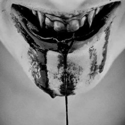 cassielynn90:  #vampire #obsession #horror #love #goth #creepy