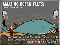 tastefullyoffensive:  Amazing Ocean Facts by Dr. Byron Beekle