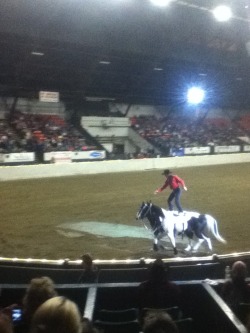 This here is what is called Roman Riding. It’s when a person