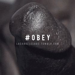 onyxma:  #obey  edomites and heathens that will be our mantra