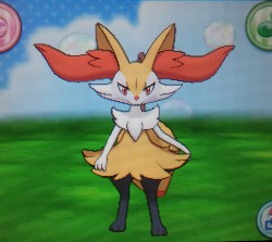 foolishcreature:  What I was waiting for the most: Braixen in