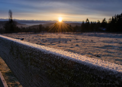 madcamal:  Fenceline frost on Flickr.  Home.