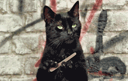 fine-gifs:  Cat Behemoth of “Master and Margarita” by Bulgakov