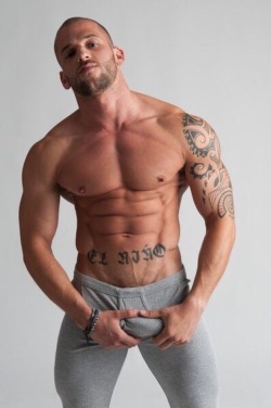 thumper339:  Handsome, bearded, tatted, muscular MF’n’ shirtless,