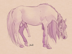 svadilnsfw:Feral Horse Water Color