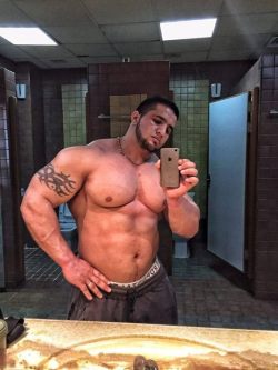 muscledog:  I kinda want him to fuck me but I really want to