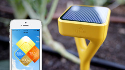 designersofthings:   Your Flowerbed Gets Smarter with the Edyn