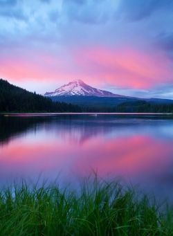 flowersgardenlove:  Mount Hood,Oregon,Un Beautiful 