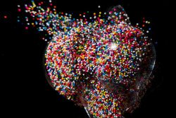 npr:  High Speed Photographs of Exploding Lightbulbs Filled with