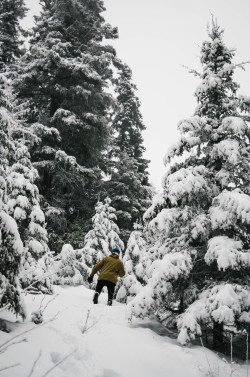 timothysilvaphotog:  Alex looking for his tree | the Hunt 2014. 