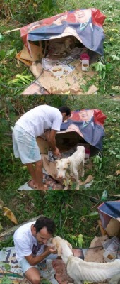 canna-bish:  Thank you so fucking much.  Rescued dogs are the
