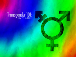 ameliated:  So, I was asked to make a Transgender 101 presentation/PDF