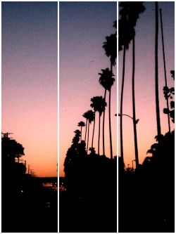 iloveeepinkk:  Pictures Iv taken… Los Angeles is such a beauty