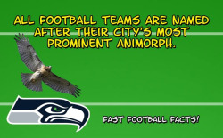 dorkly:  Some Fast Football Facts (For People Who Don’t Know