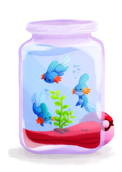 kafel88:  tiny madkips in the jar ;] caught in the wild   mudkip