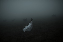 the-frozen:  Afterlife by Alessio Albi on Flickr. 