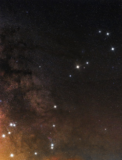    Antares star and Scorpius Constellation by César Cantú 