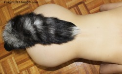 Hehe I love how this makes my butt look =) My foxtail sets www.foxytail11.tumblr.com