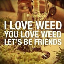 highhornyrebel:  Still lets be friends lol @cannabiscommunity