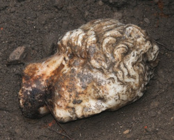 wolfsmilk:Marble Head of Aphrodite Found in Ostia Antica