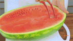 onlylolgifs:  Watermelon knife 