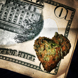 smokingmy-inspiration:  Nugs and thugs  In Weed we trust **Follow