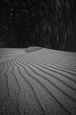 expressions-of-nature:  Desert Star : Safran 