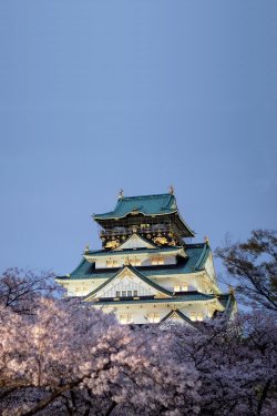 visualechoess:  Sakura Castle - © Azul Obscura | ᶹᶥᶳᶸᵃᶩᶳ