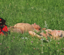  the naked nap in nature http://blogzen00.tumblr.com/