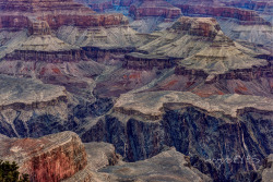 Grand Canyon -jerrysEYES