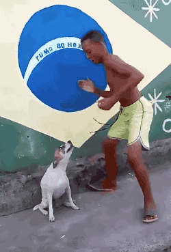 gifsboom:  Brazil Dog Dance. [video] [GIF Sound] 