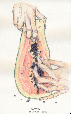 tsurufoto:  papaya. watercolor & illustration by aaron tsuru