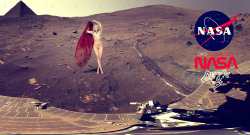 somegreatcelebfakes:  Did you hear NASA found Lady Gaga naked