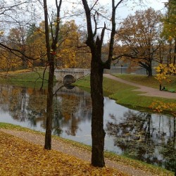 #Autumn #sonata 2 / #Gatchina #imperial #park / #Oktober #2013